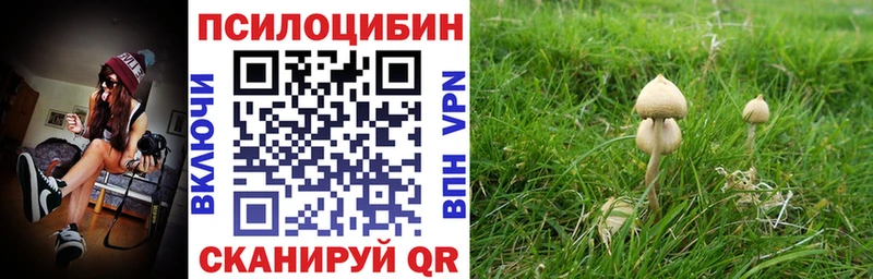 darknet состав  KRAKEN зеркало  Галлюциногенные грибы ЛСД  Аша  как найти наркотики 
