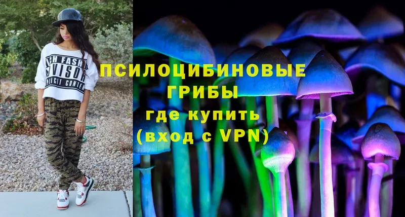 kraken ССЫЛКА  Аша  Галлюциногенные грибы MAGIC MUSHROOMS  наркошоп 