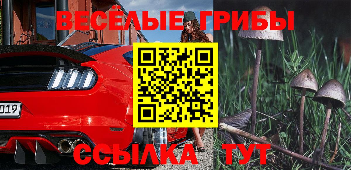 Псилоцибиновые грибы Psilocybe Аша
